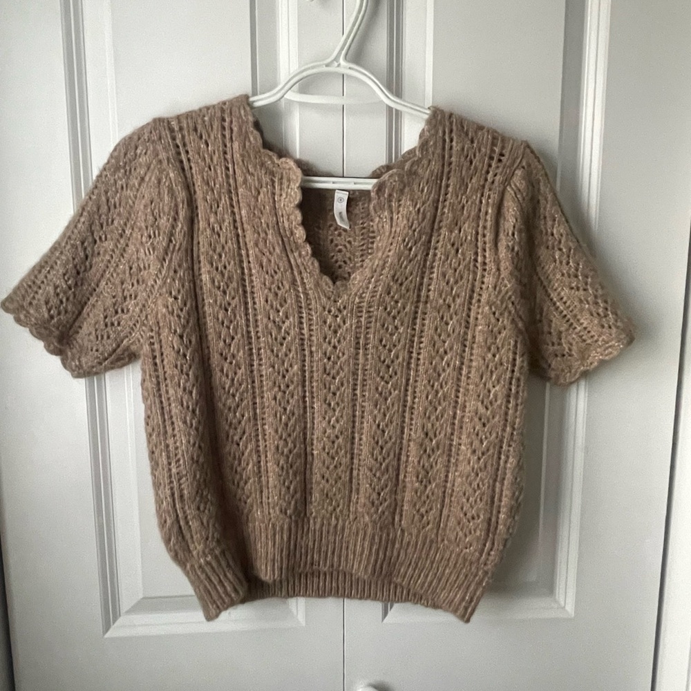 Wishlist Brown V-Neck Knit Sweater